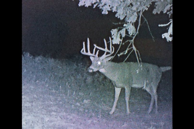 53