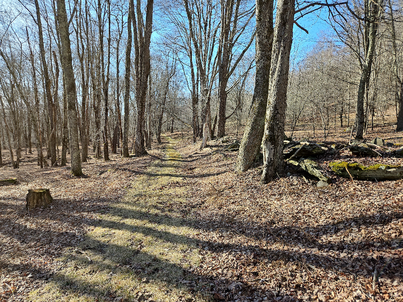 photo_1ecc5f33-3113-47c6-a476-5ff3516c4245