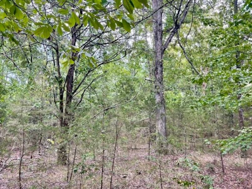 057580A6-E6FB-4174-8FAB-A7D847028B09_4_5005_c