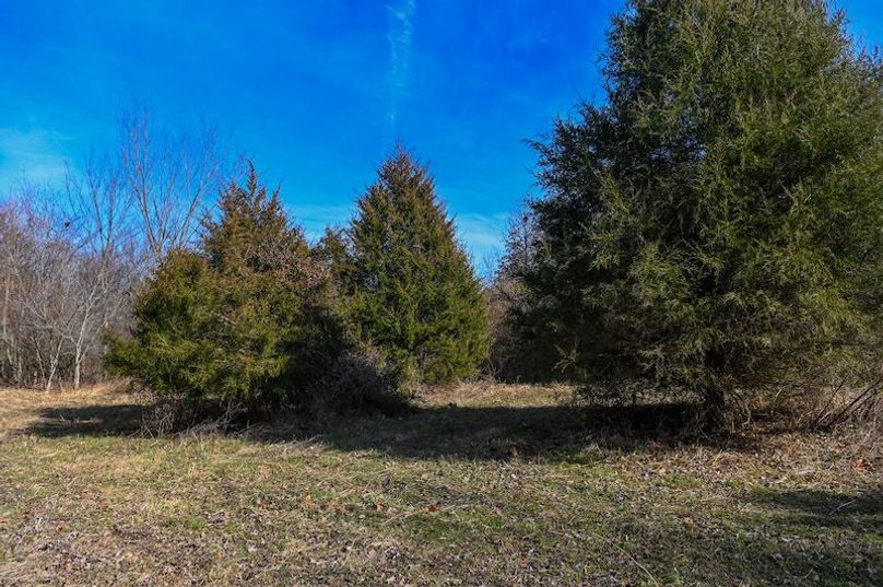 vandalia 450 (2)-1683