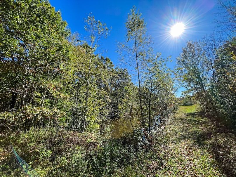 Wood 41.451, Collins -31