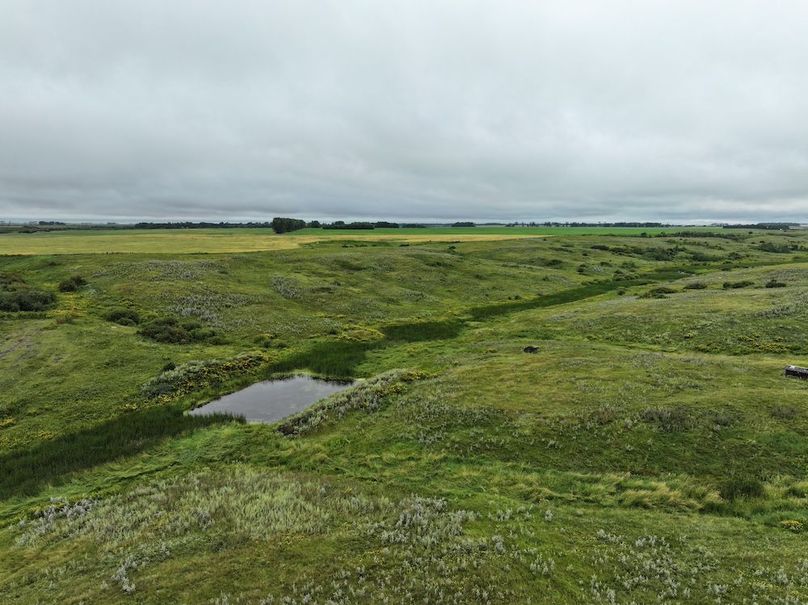 Copy of DJI_20250704133129_0601_D