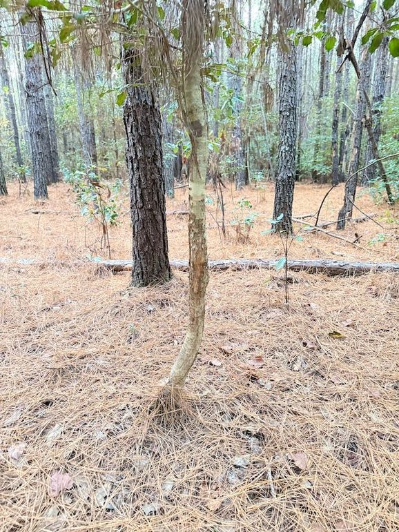 E39D1792-0A65-4EF8-AAB2-98BAE77D5E4E