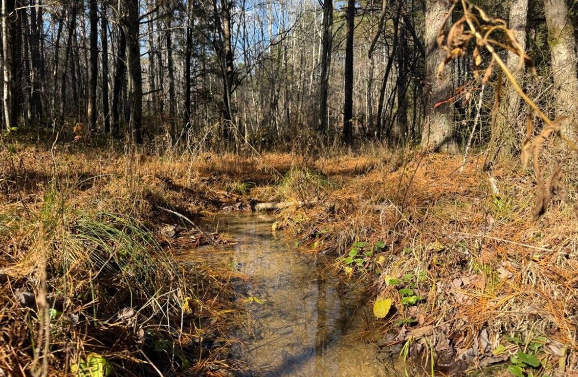 001 the stream that runs near the east boundary through the property