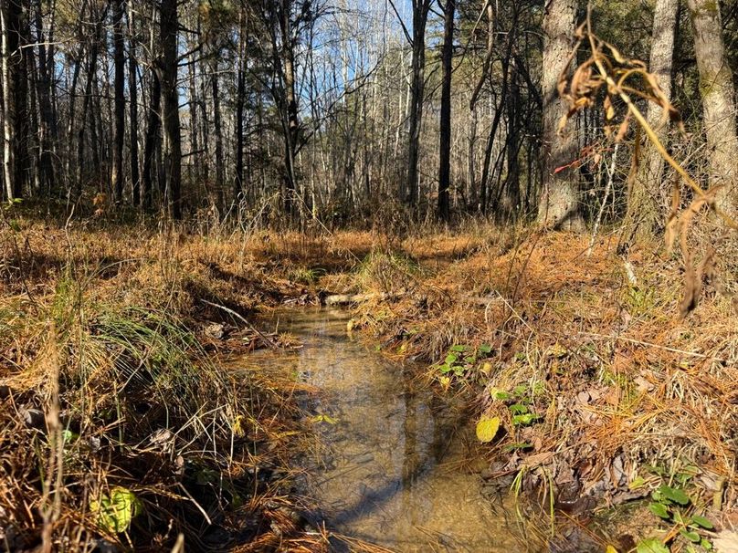 001 the stream that runs near the east boundary through the property
