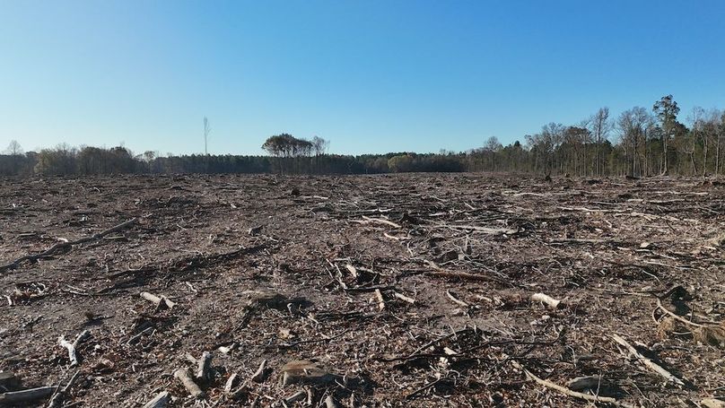 dji_fly_20251114_083342_0992_1763127660608_photo