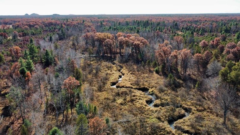 dji_fly_20241024_130912_502_1730406235995_photo_optimized