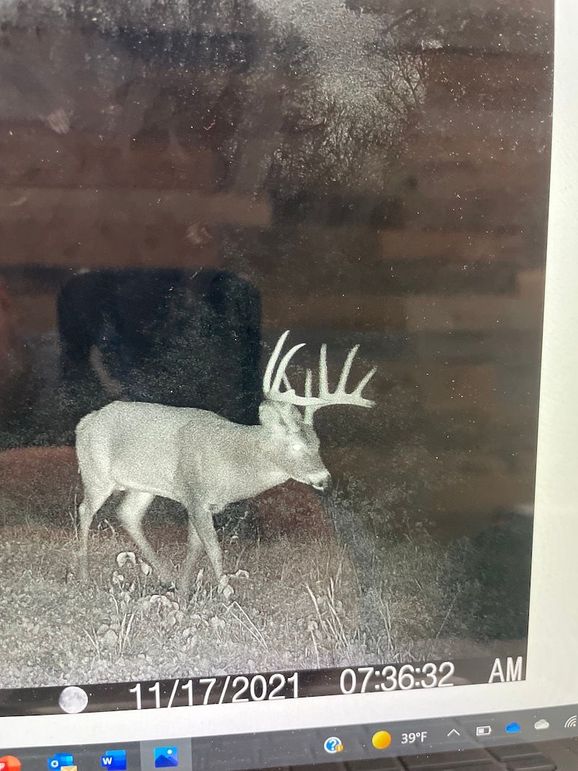 65930574437__180797F7-33AE-40BE-AB5E-B9ABEA517B06