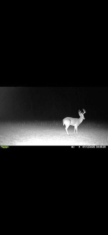 Screenshot 2026-02-27 at 3.59.29 PM