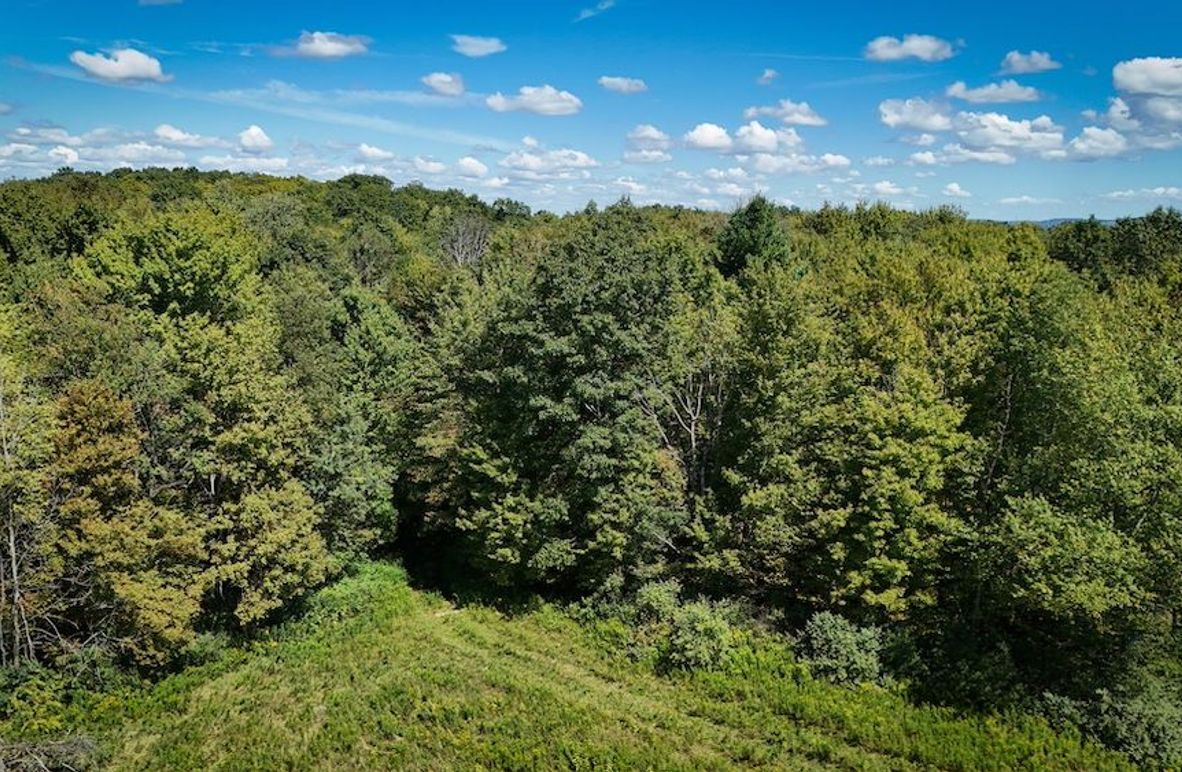 Tioga NY 64 Shores 2