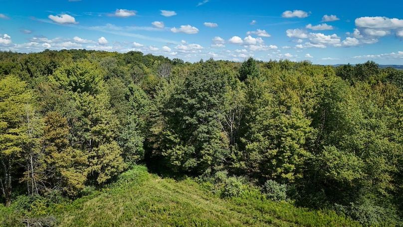 Tioga NY 64 Shores 2