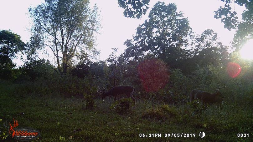 unnamed (6)