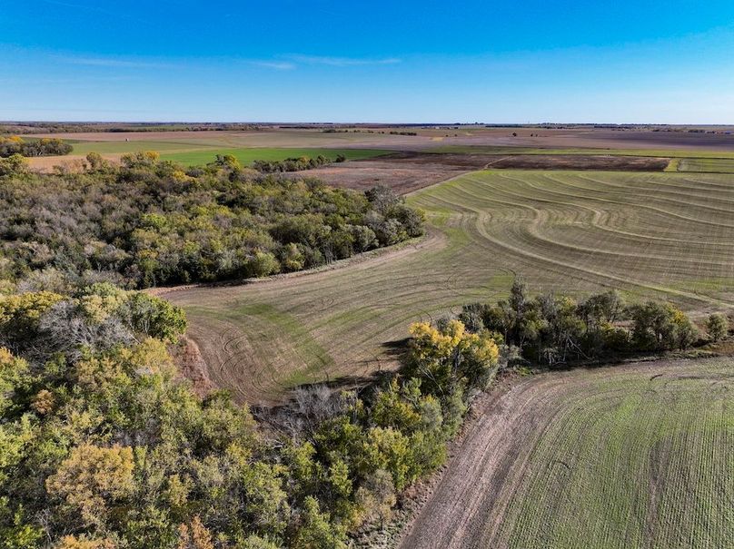 Dickinson Co, 154.5_024