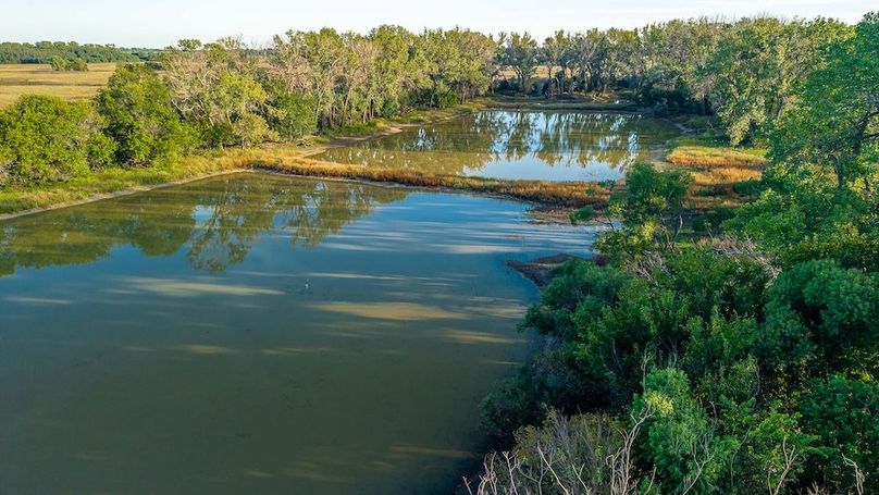 Copy of Copy of TRACT 1-42