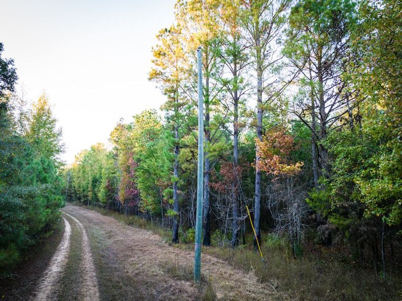 Clay 302.7 Henderson-22