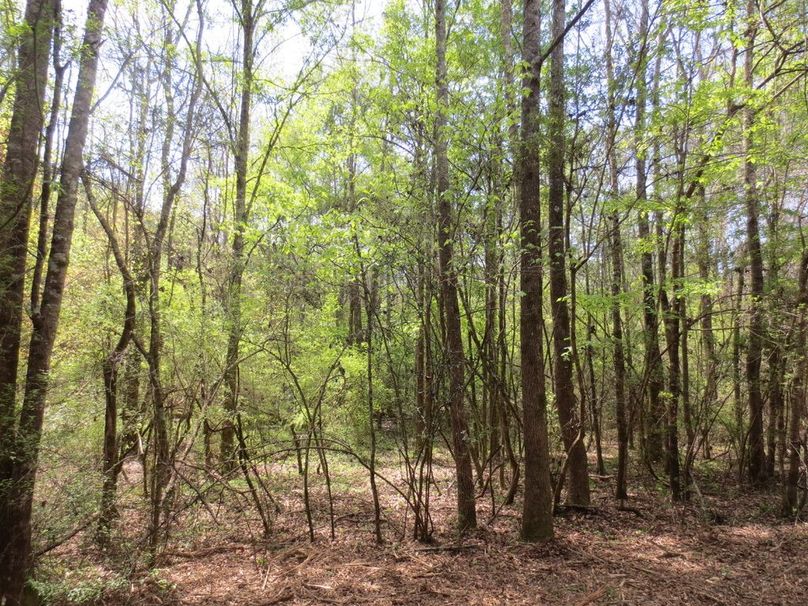 AB71EF73-4AD7-4238-9CE3-BE27972D9275_1_105_c