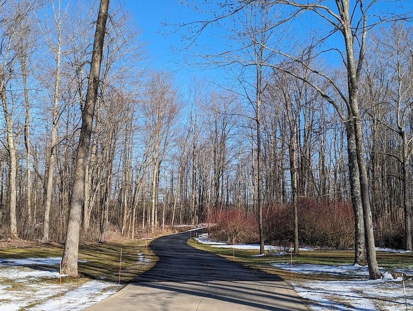 PXL_20240229_210436097