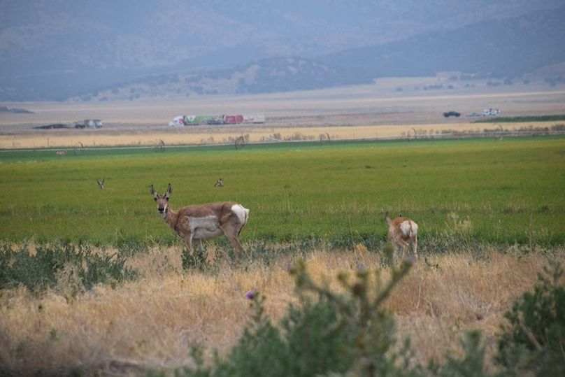 DSC_0295
