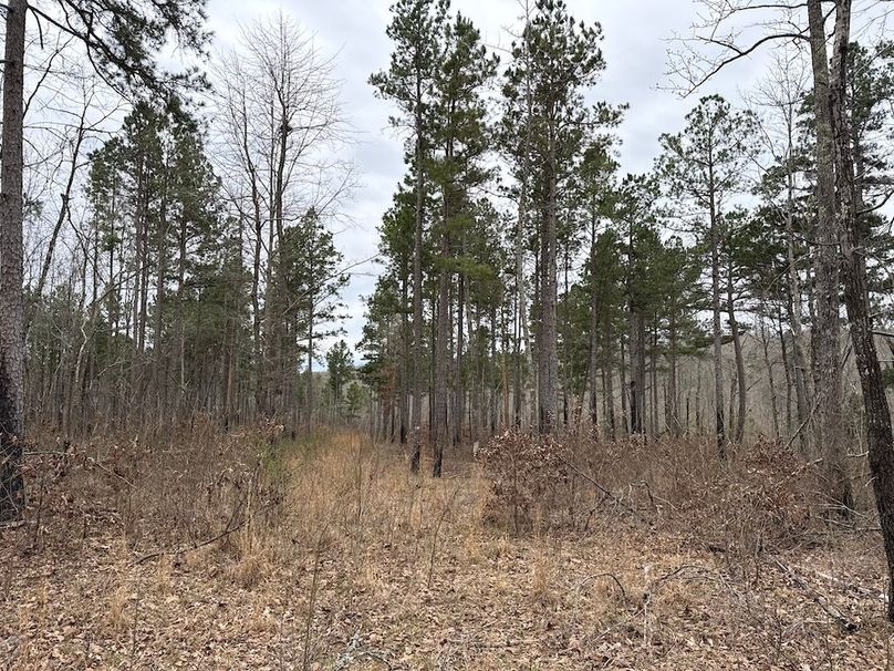 DJI_20260324_103815_149