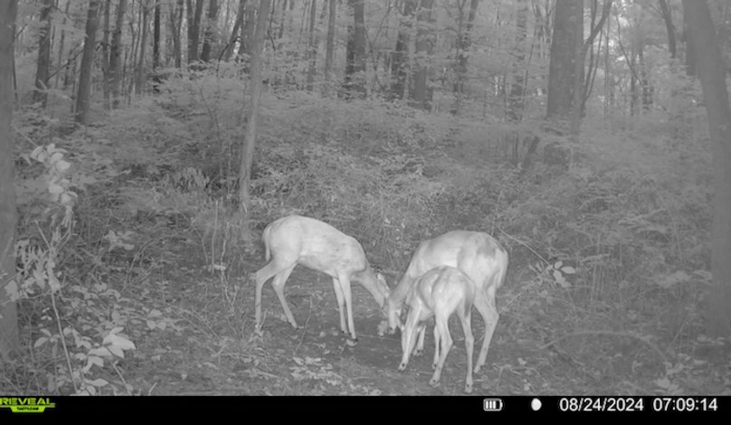 17B56178-FE97-42A6-B626-C15FF13FE64F