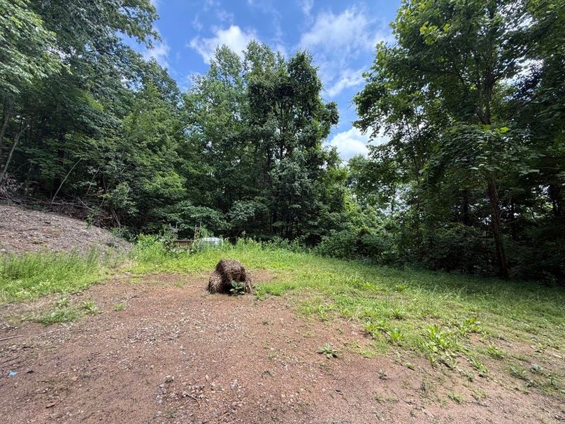 007 view down into the property along the east boundary