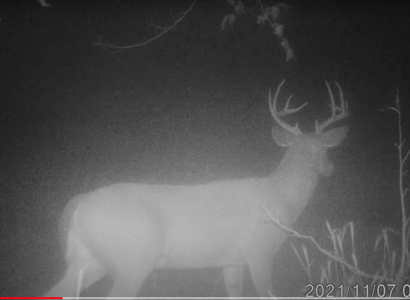 Screen Shot 2024-01-22 at 6.00.06 AM