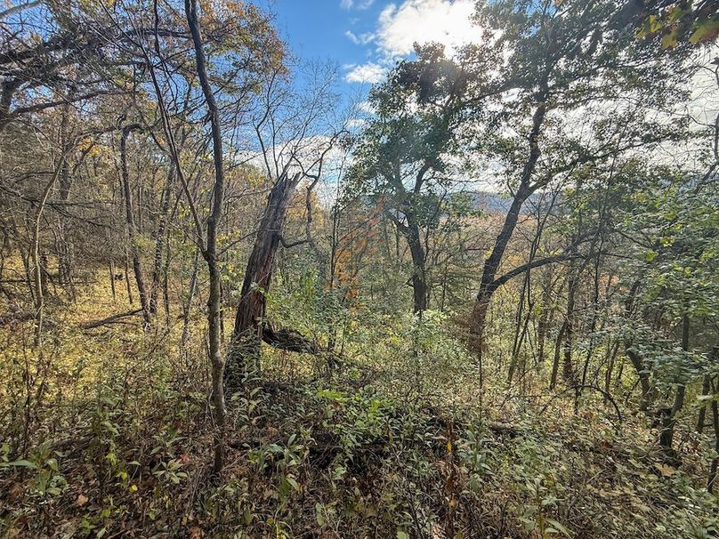 Houston 24.97 Updated-36