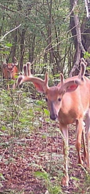 Screenshot_20230826_210110_Gallery