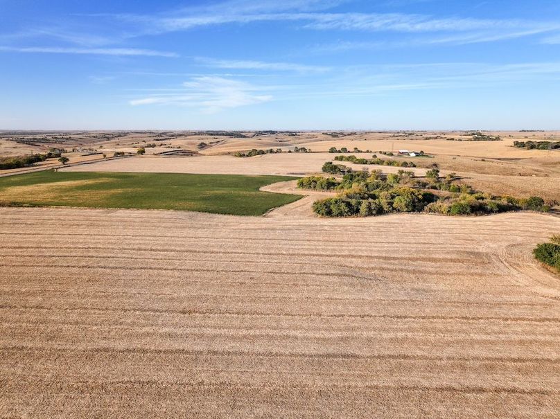 Copy of 2 Western Sky Farms, LLC-27