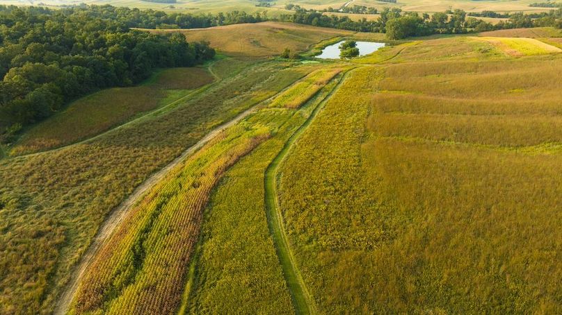 Cedar IA 152 Featured Z35A