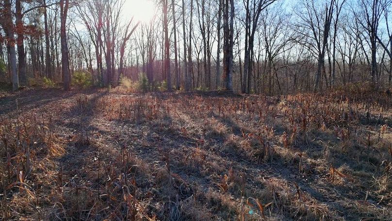 DRONE.00_10_07_10.Still028