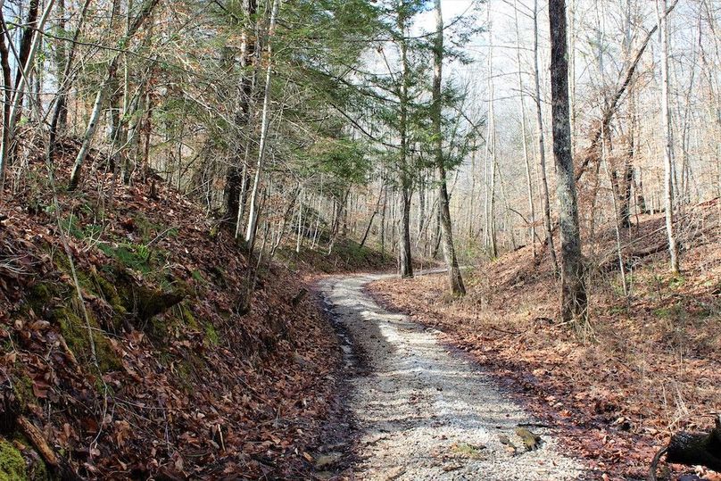 025 gravel drive leading into the property