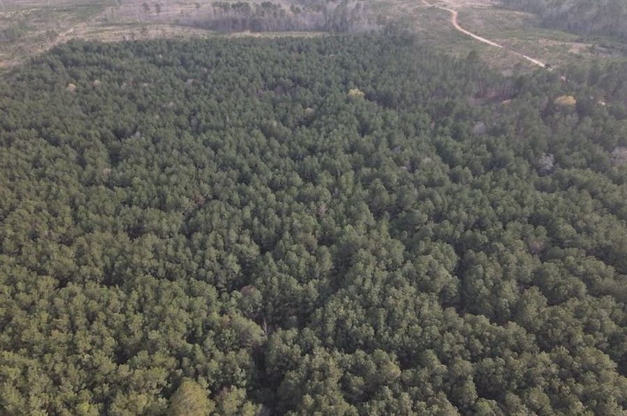 DJI_0103
