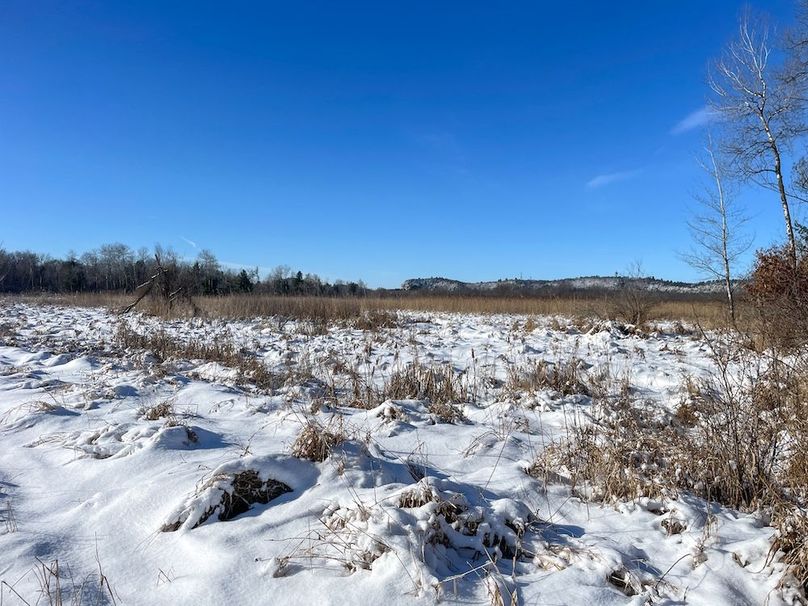 Juneau 105 Cantic -08