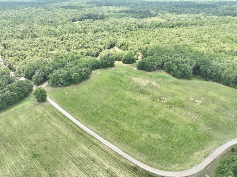 dji_fly_20230731_132148_433_1690845835207_photo 2