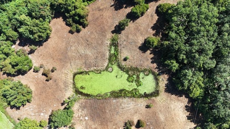 21ac, Sumter, Reelvest41