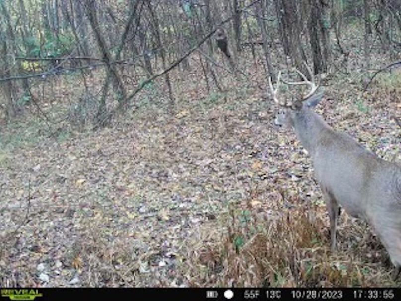 868032067996938-50-2-10282023173356-V-W1000981