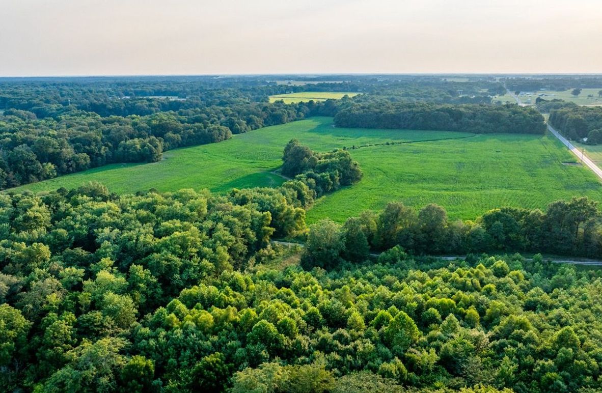 Copy of DJI_20250806060518_0061_D Large