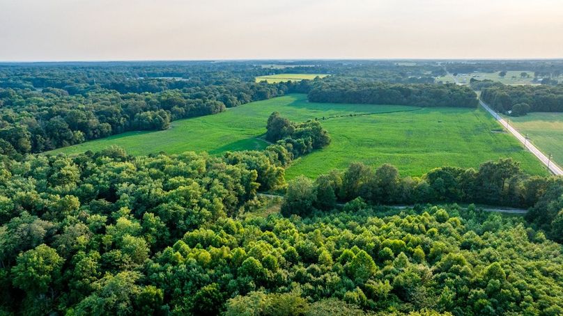 Copy of DJI_20250806060518_0061_D Large