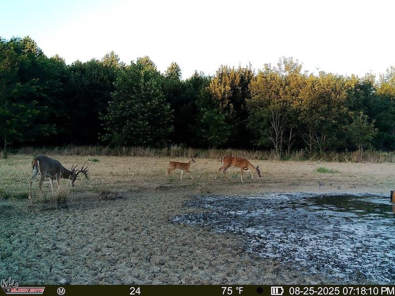 fullversion-4c43c146340feb0ea75992a04ec0c0c737cd9eed