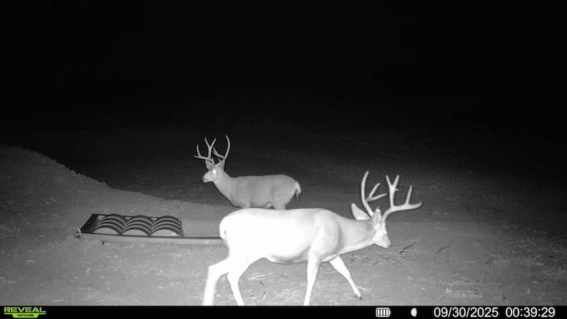 97c7461f-c415-481c-9677-dce6f9efafe2