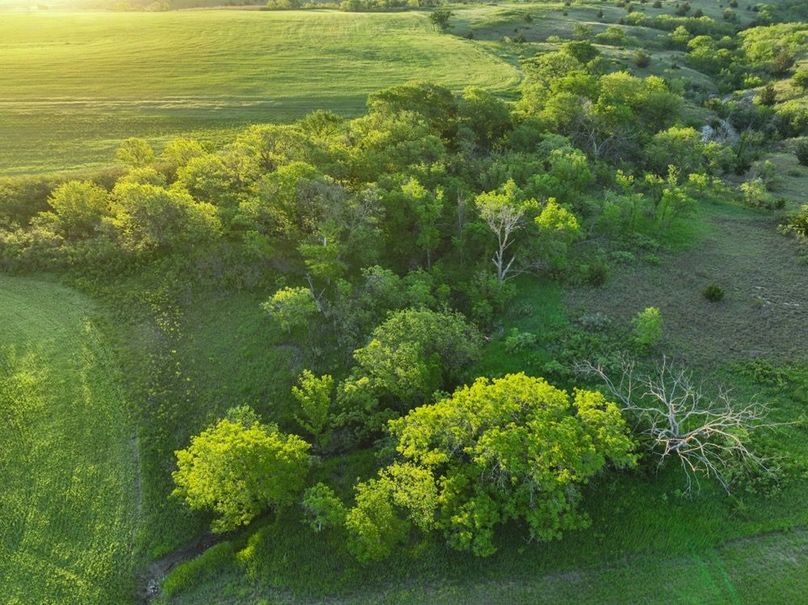 dji_fly_20250512_065308_117_1747051034206_photo