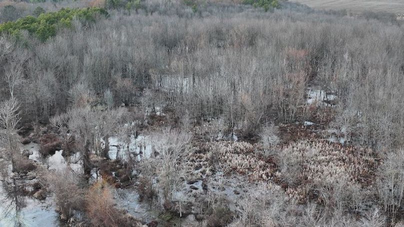 Monroe 80 Driver Dixon (Final Frontier) -13