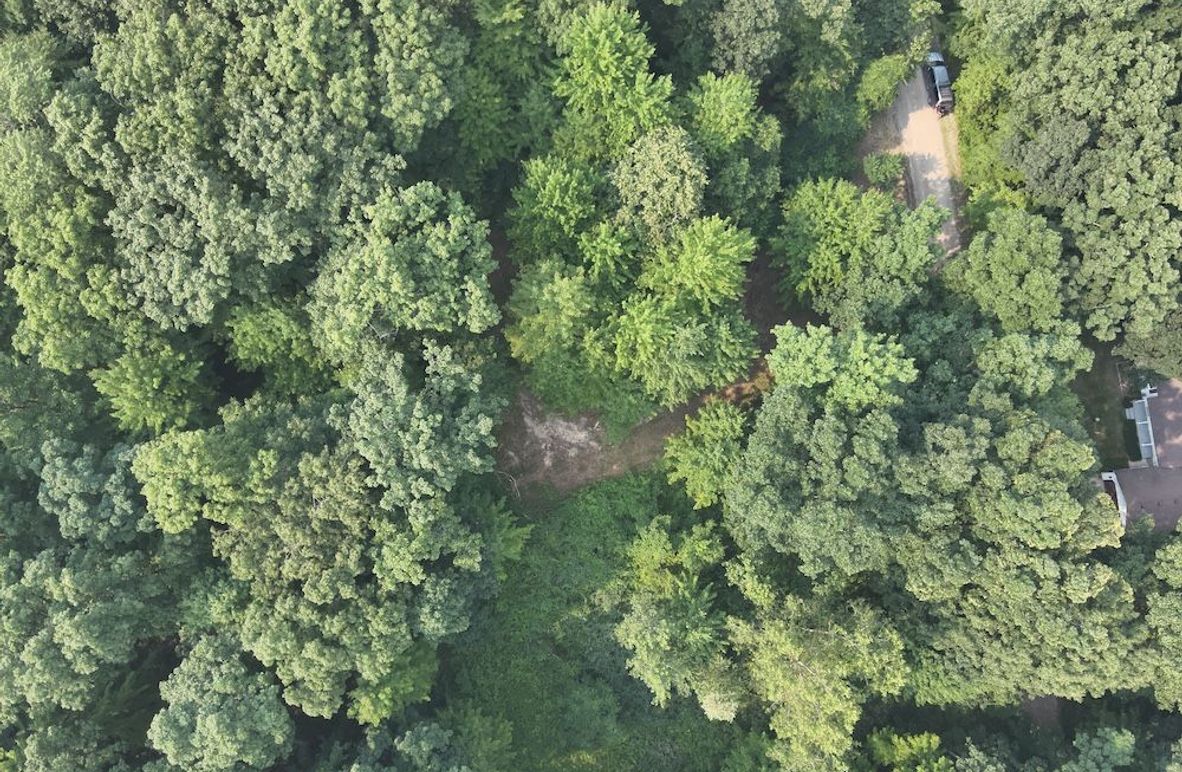 DJI_20250804050544_0006_V