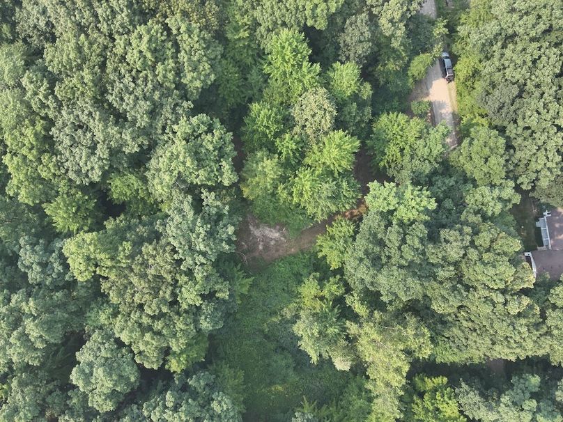 DJI_20250804050544_0006_V