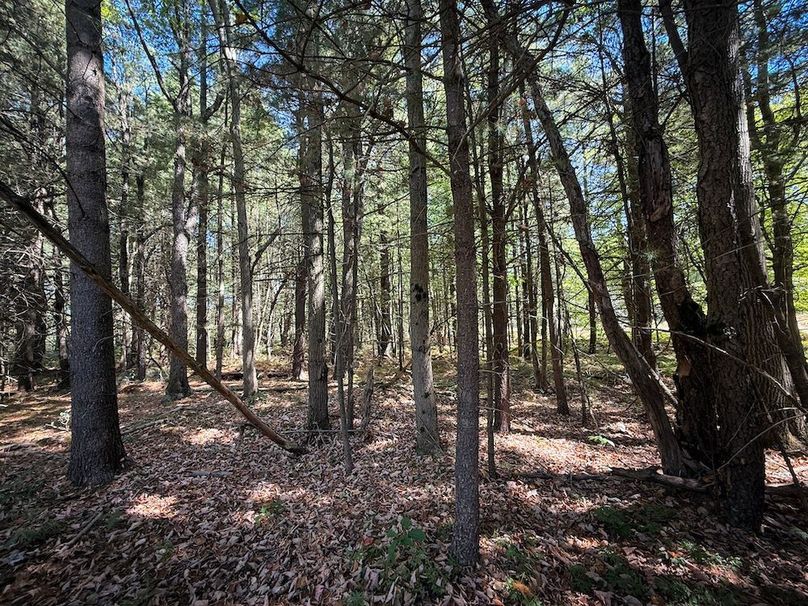 Jefferson NY 195.6 Parker Photos 33