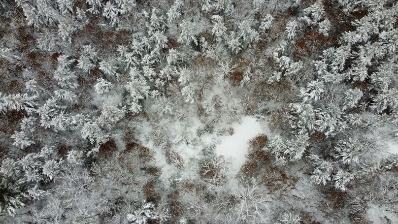 dji_fly_20240111_114148_863_1704995467556_photo_optimized 3