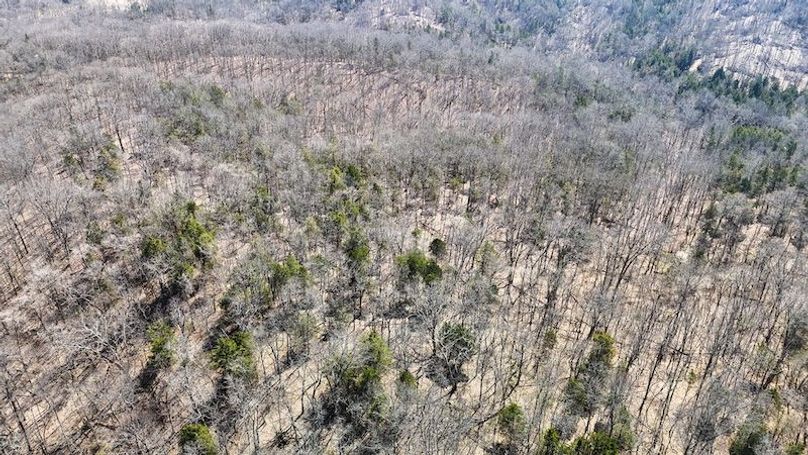 DJI_20260322130229_0024_D