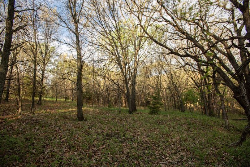 MONTGOMERY CO IA. 156.78_64