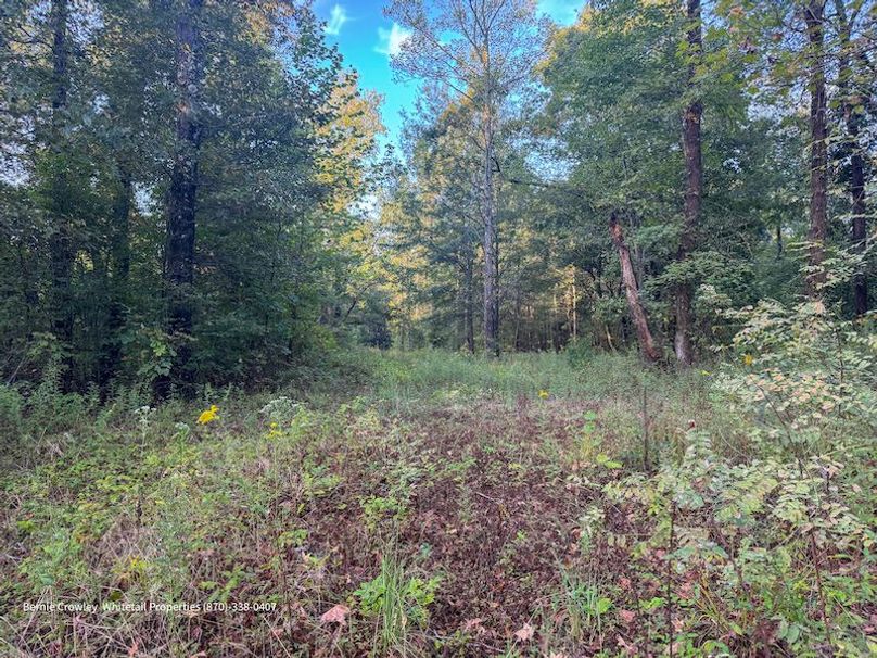 DeSoto 109 Prewett -26